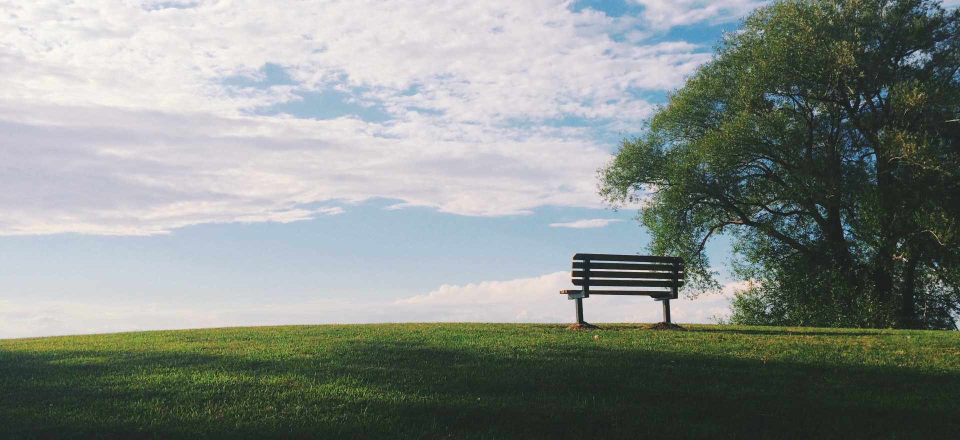 a memorial bench sitting on top of a grassy hill