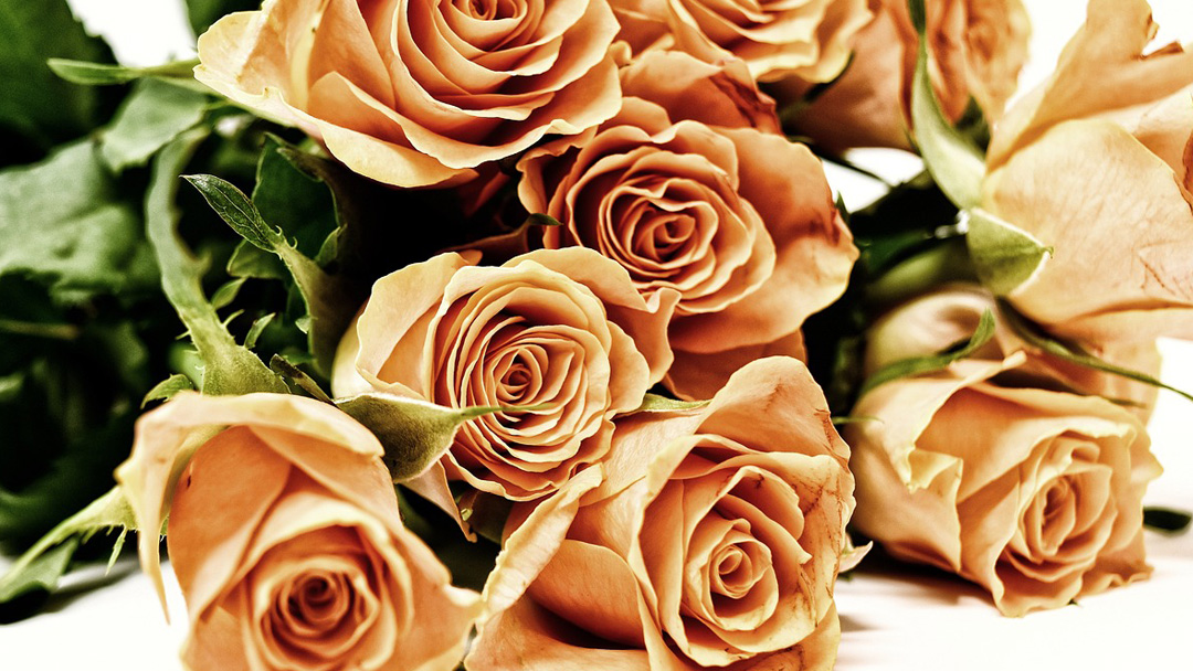 Floristry Service