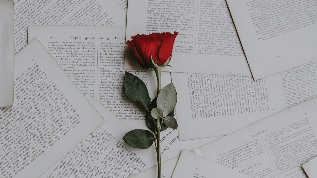 a single red rose laid on pieces of paper