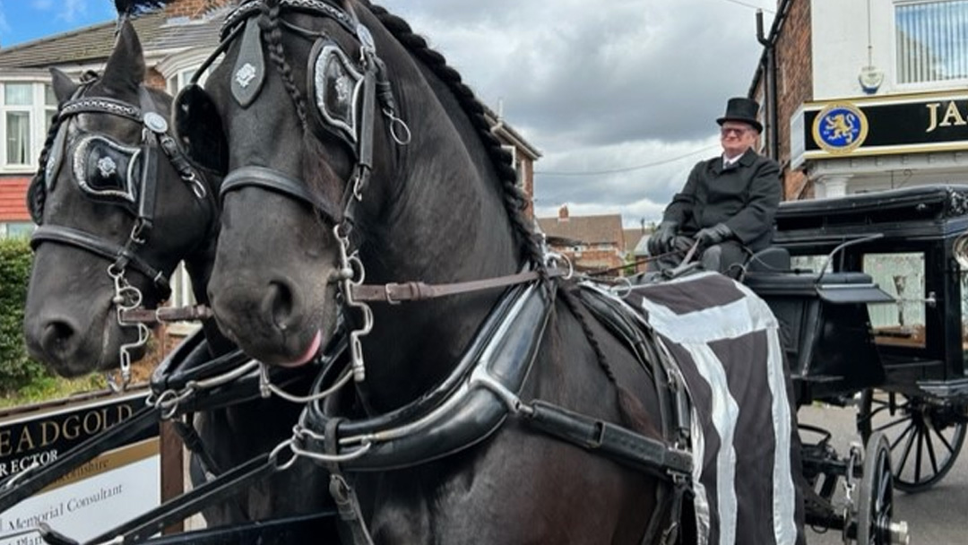 two horses pulling a carriage down the street